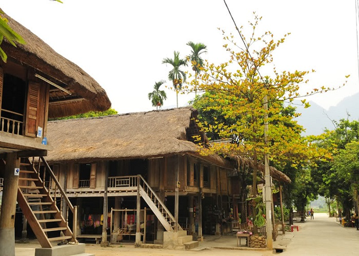 https://files.locallife.asia/images/800/1758266296986-image (25).png